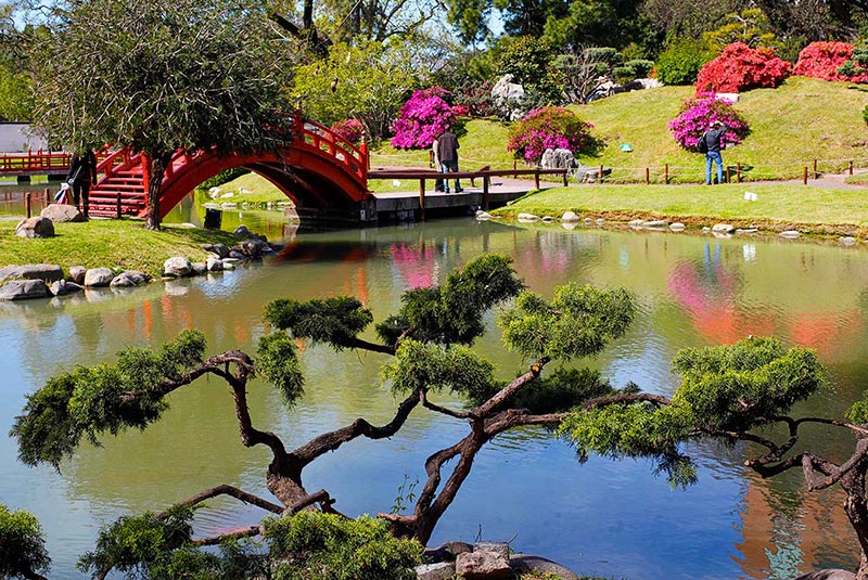 Landscape inside the Japanese Garden in Buenos Aires