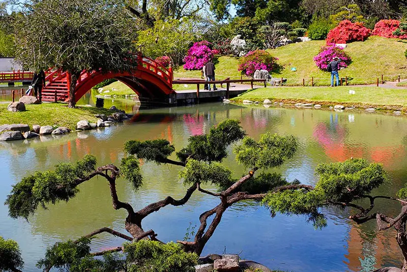 Landscape inside the Japanese Garden in Buenos Aires