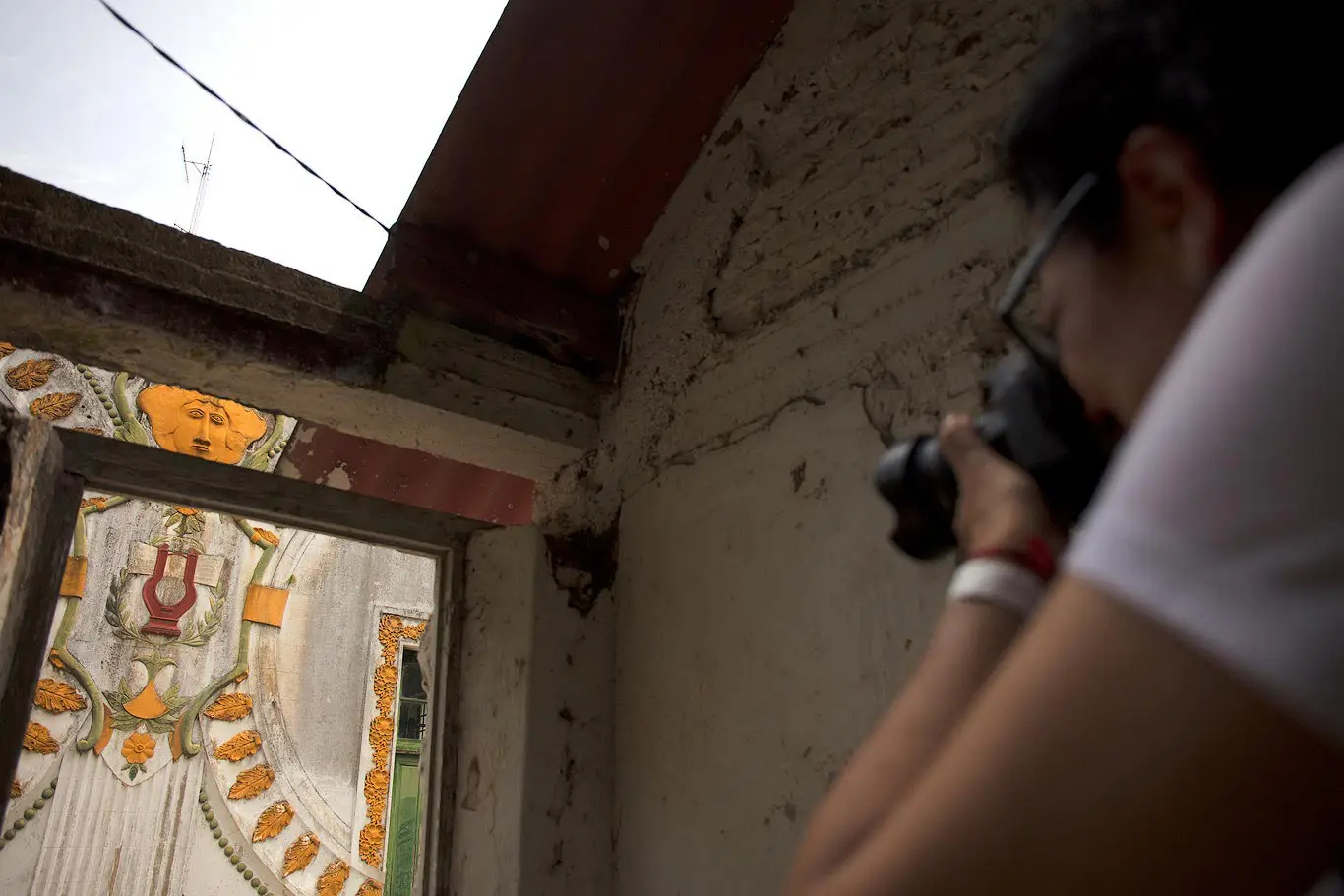 Safari fotografico a la isla Martin Garcia