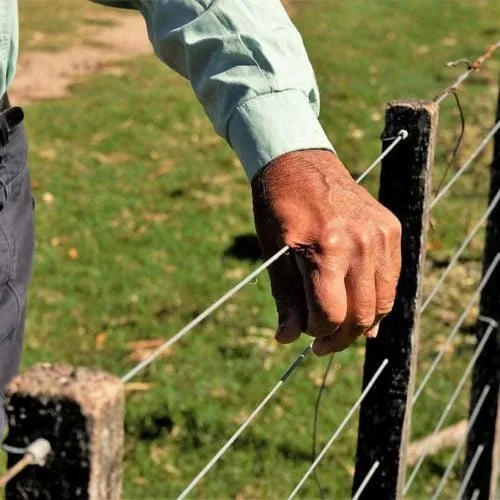 Cristina detalle mano campo Pardo