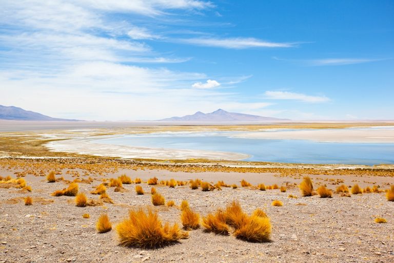The Tara salt flat in Atacama Chile