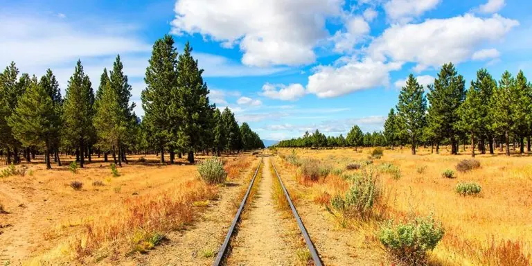 Paesaggio Patagonico