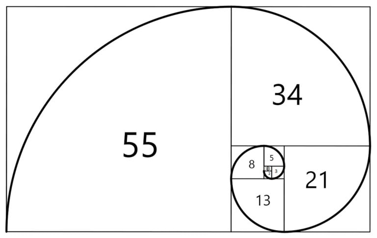 Spirale di Fibonacci composizione