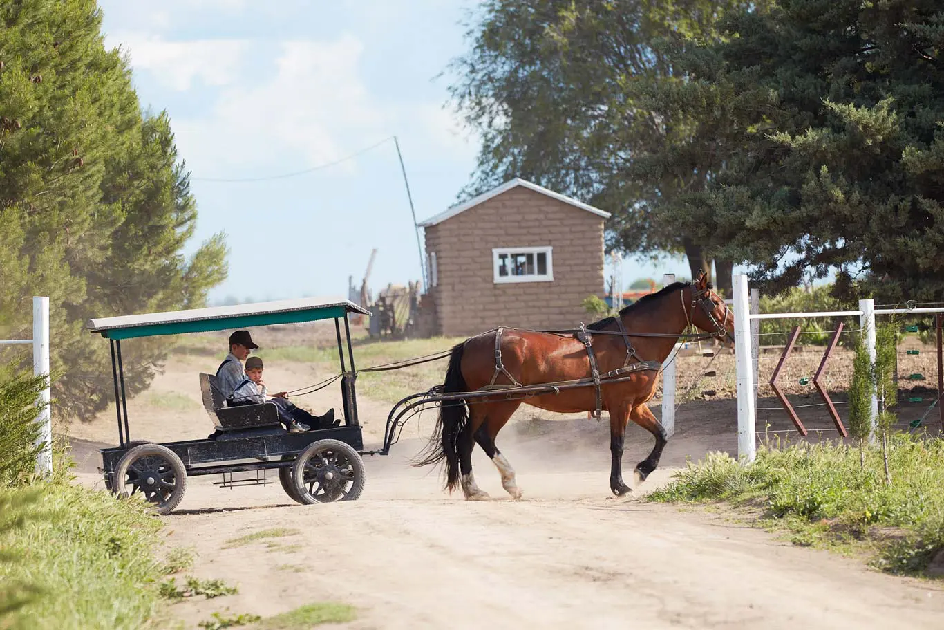 Mennonite colony in Argentina