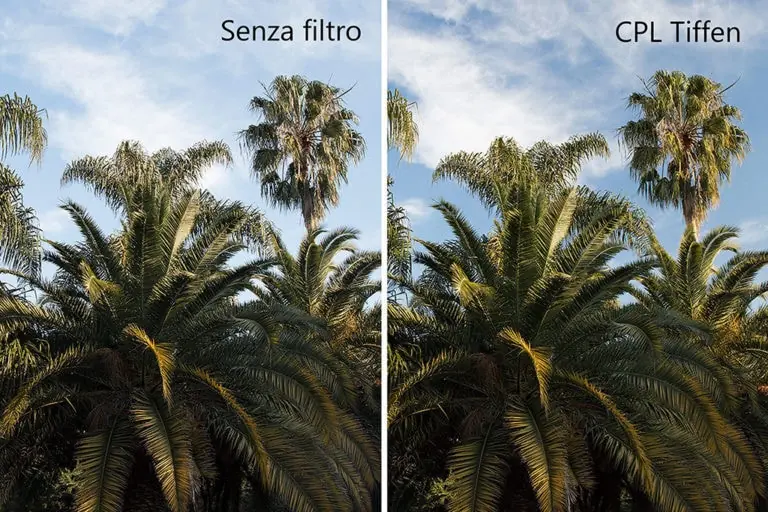 Saturazione colori filtro polarizzatore