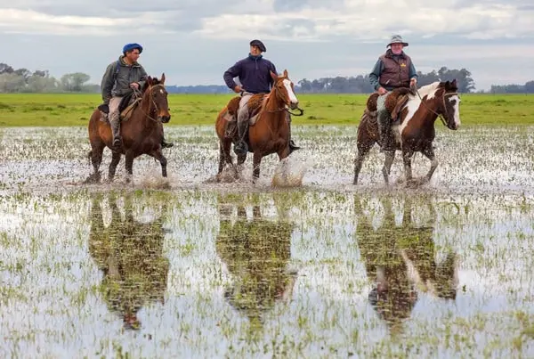 gauchos en las pampas