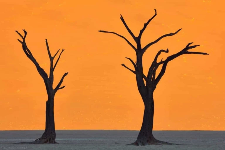 Dead Vlei trees in Namibia