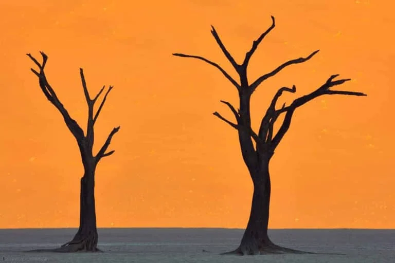Dead Vlei en Namibia