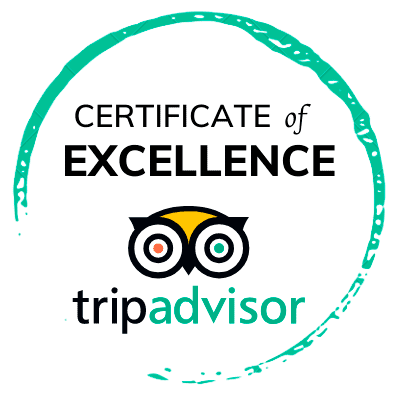tripadvisor reviews