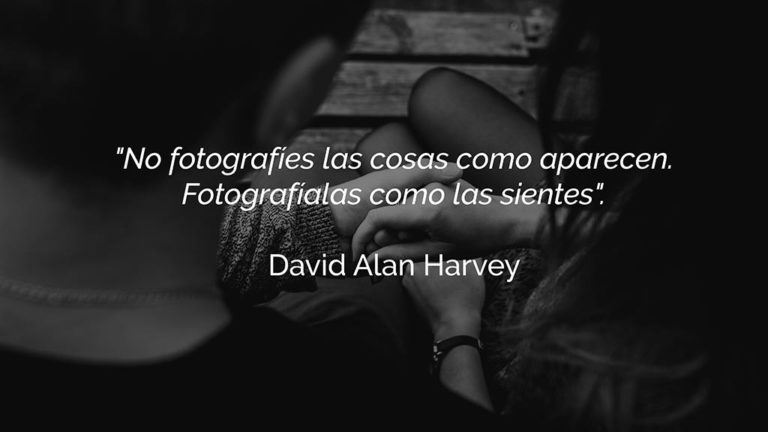 frases fotografia harvey