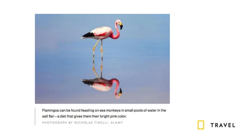 pubblicazione su nat geo