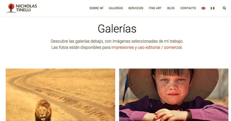 portfolio de nicholas tinelli