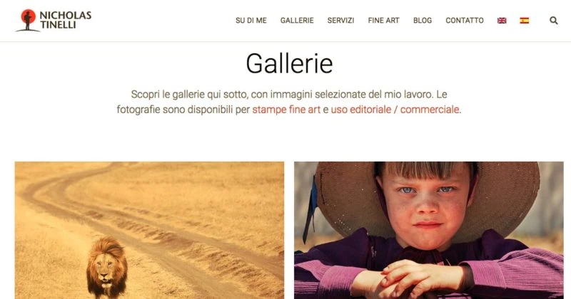 gallerie nicholas tinelli