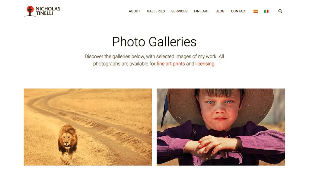 portfolio showcase nicholas tinelli