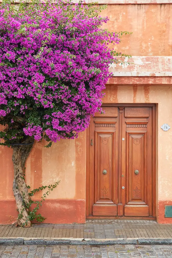 colonia del sacramento