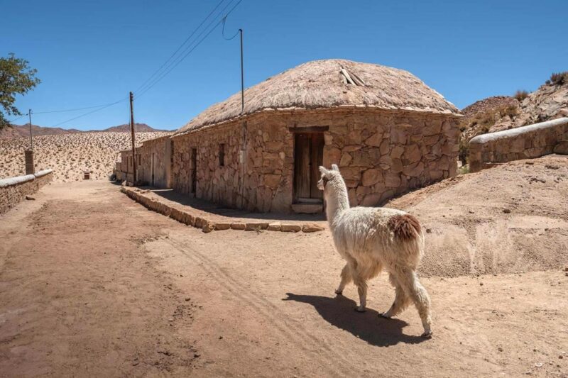 san francisco de alfarcito