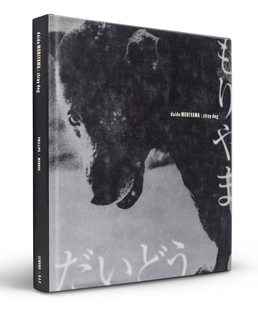 dando moriyama stray dog