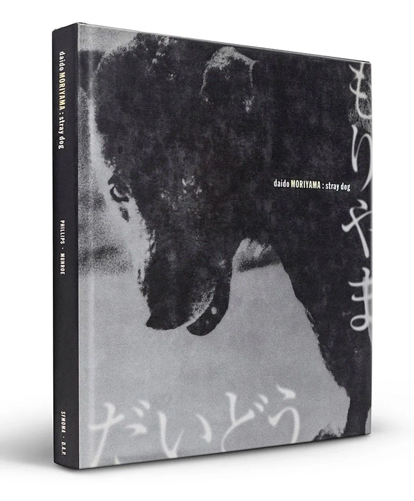 dando moriyama stray dog