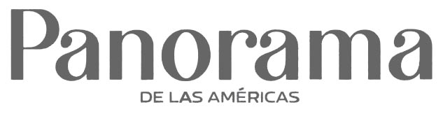 panorama americas copa grey